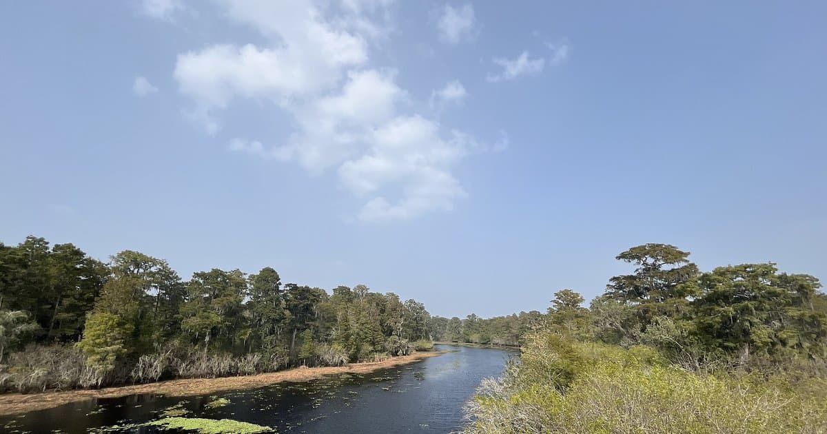 PFAS in Tampa Bay Water 2026: Residents Guide