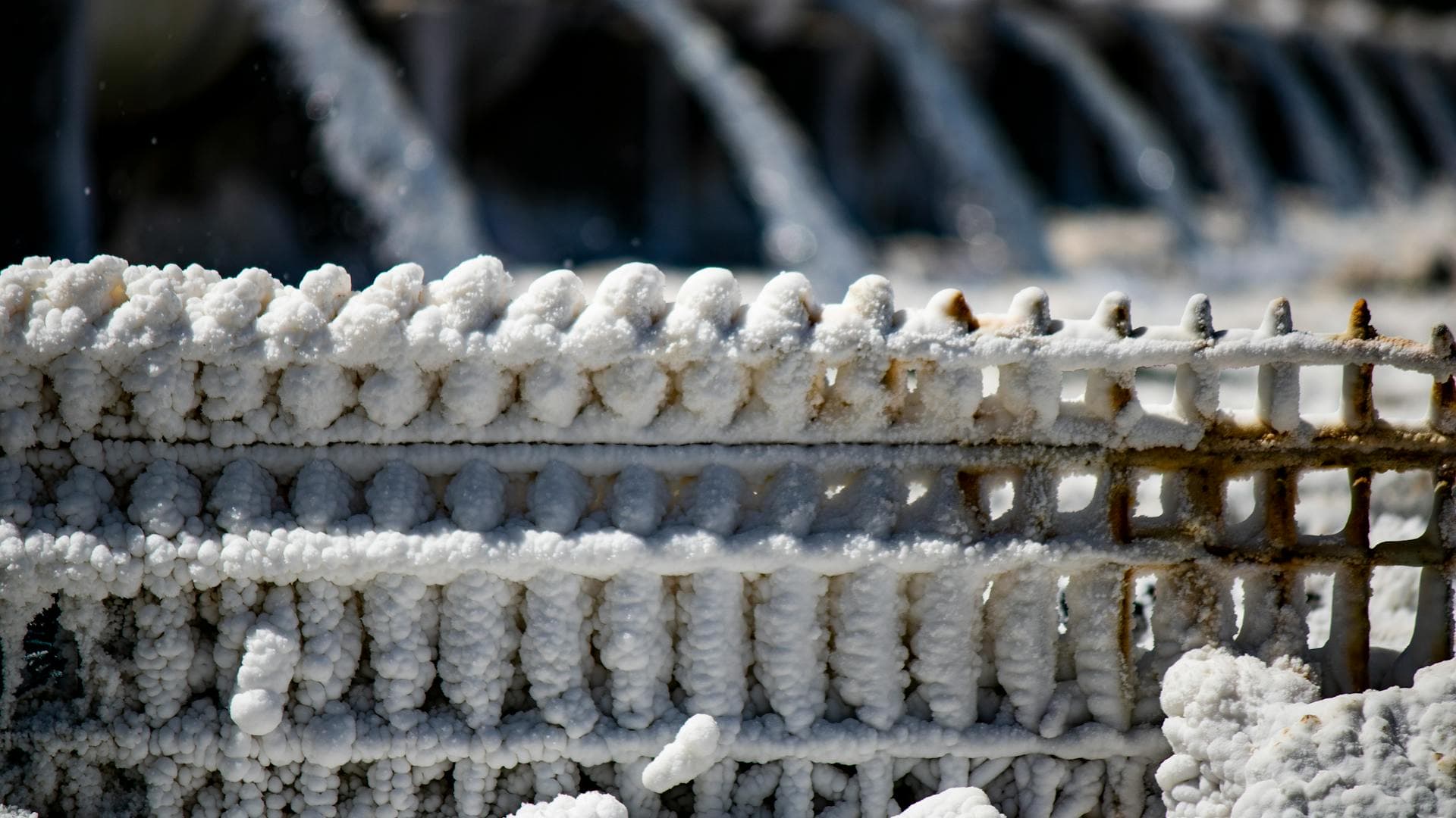 Reverse Osmosis vs. Water Softener: Which Do You Need?
