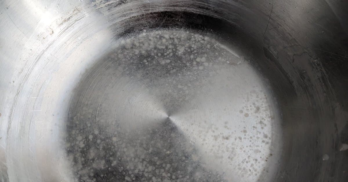Why Does My Tampa Bay Water Leave White Spots, Scale, or Feel Slimy?